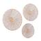 Set of 3 Cream Dried Plant Material Coastal Style Wall Decor, 20", 24", 28"